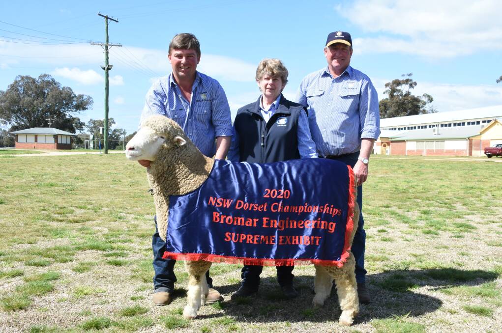 James, Lorraine and Brian Frost of Hillden Poll Dorsets, Bannister, with their supreme winning ram. Photo: Shantelle Stephens