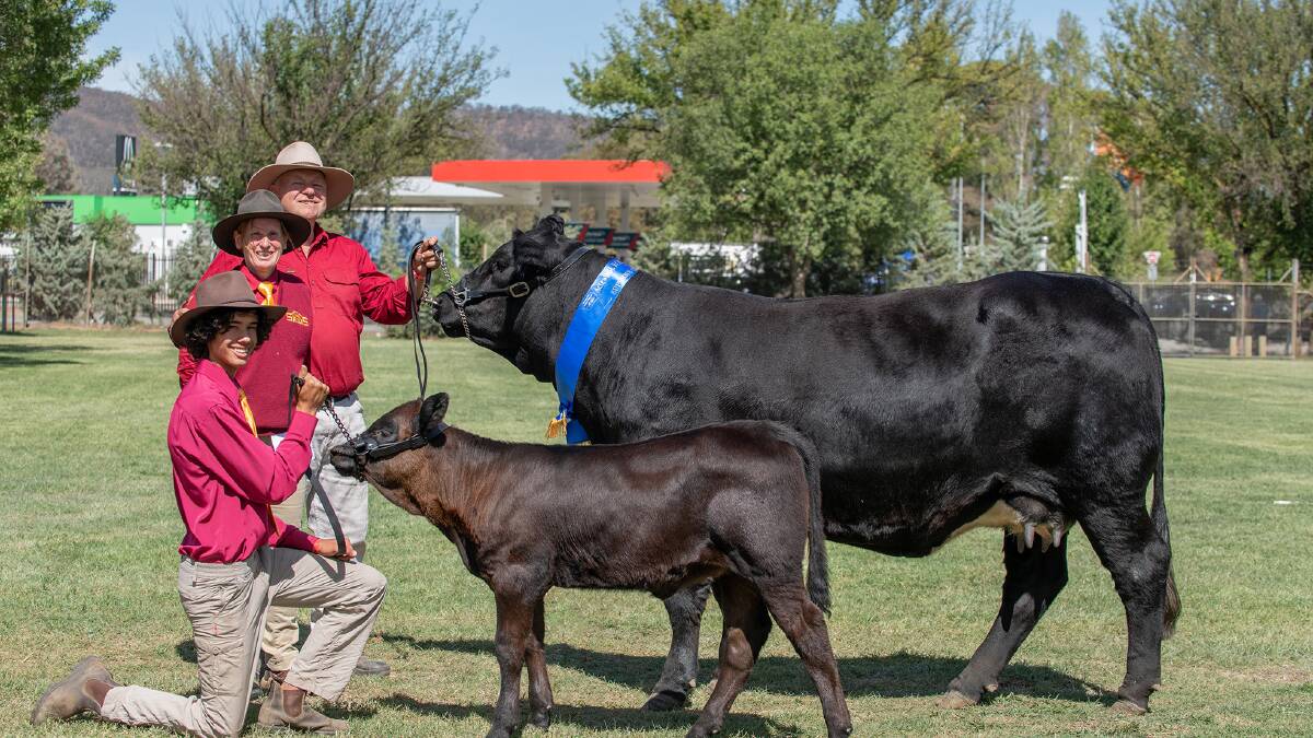 The grand champion female and supreme Saler exhibit. Photo: Emily H Photography 