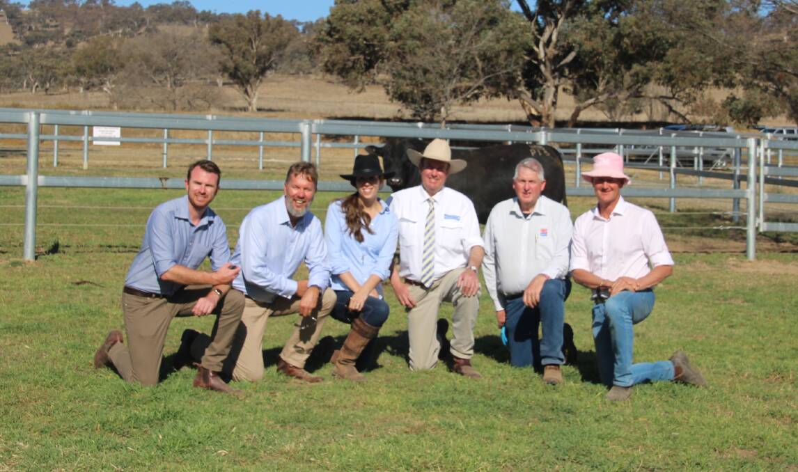 Buyers Chad Hall, Paul and Siobhan Cowan of Arkle Angus, WA, auctioneer Paul Dooley, semen rights purchaser Bill Cornell of ABS, Vic, and vendor Ross Thompson, Millah Murrah Angus, with the $160,000 record top-priced bull. Photo: Lisa Duce