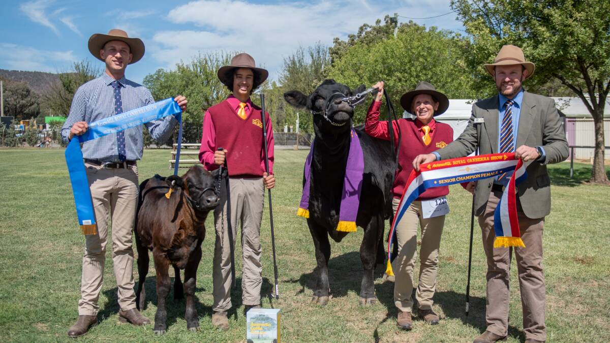 Judge Sam Hunter, Agstock, Yass, with the supreme exhibit handled by Kade King, Nowra, and owner Susan Nicholas, Nicholstoke Salers, Nowra, sashed by International Animal Health representative Shannon Lawlor. Photo: Emily H Photography 