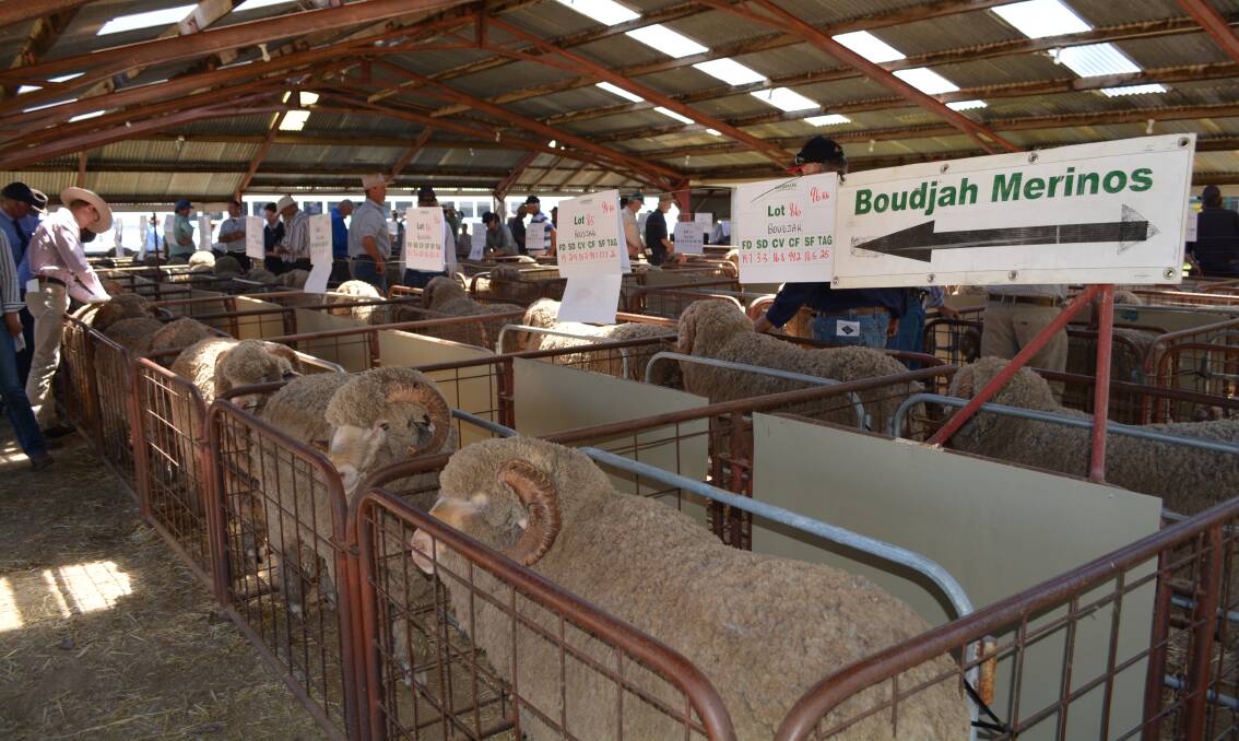 Boudjah Merinos had a strong sale with 66 rams sold for a $2145 average and a 100 per cent clearance. 