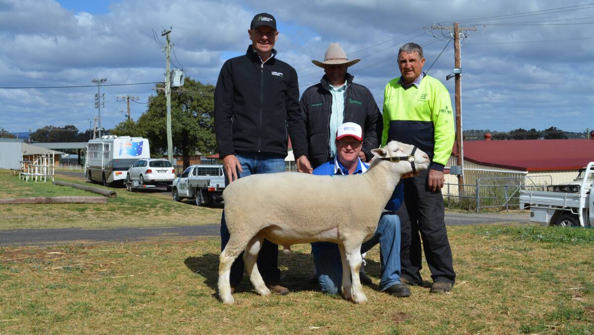 Langlands Hanlon agent Geoff Rice, Parkes; Scott McKellar, Gerrard and Partners, Young; Brian Norris, Norris Brothers, Lake Cargelligo, and the top price White Suffolk ram held by Jason Barker, Parkes. 