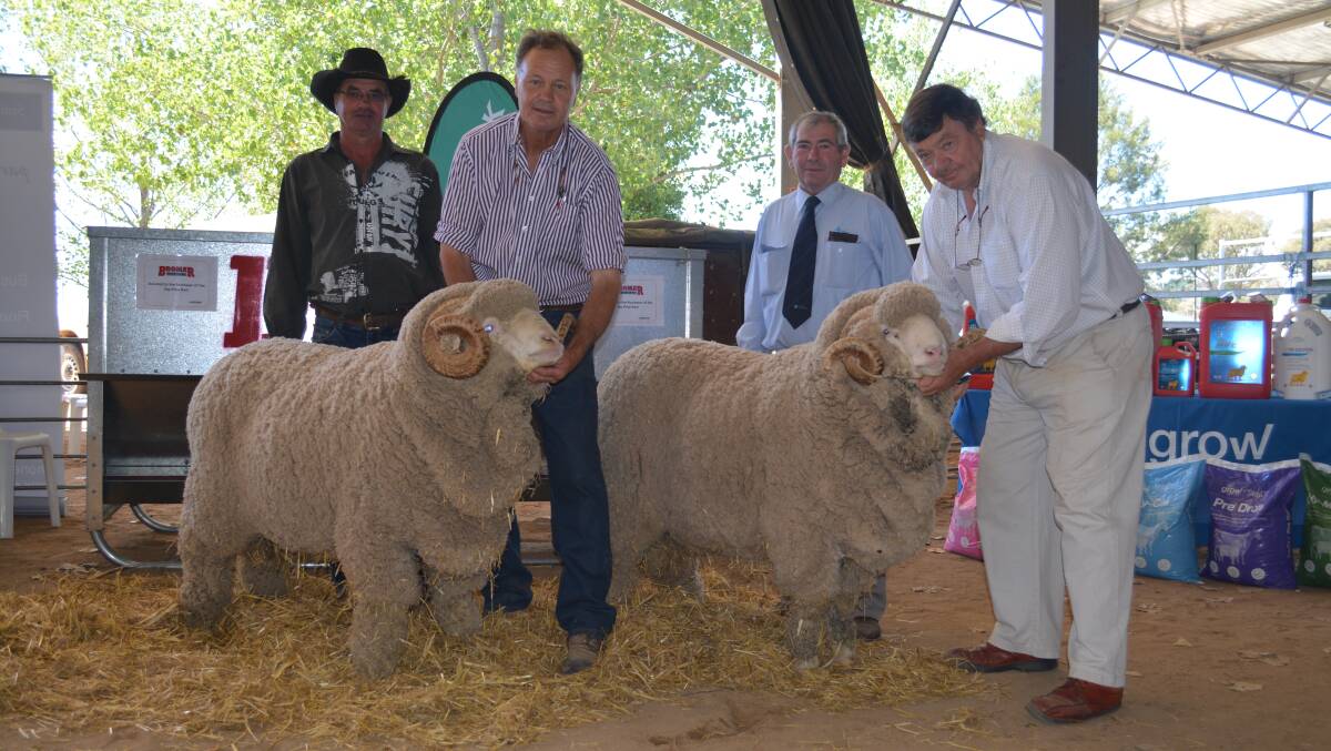 Lynoch Pty Ltd property manager Chris Bourke, "Eversleigh", Armidale, with his purchases; the second top-priced ram held by George Merriman, AWN agent Harold Manton, and the top-priced ram held by Wal Merriman.