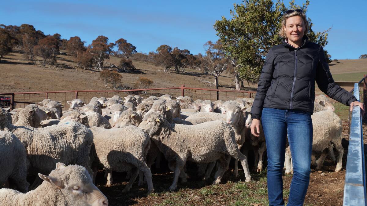 Monaro sheep producer and industry enthusiast, Heidi Reid, with Merino ewes on property at "Yarrabin", Berridale. 