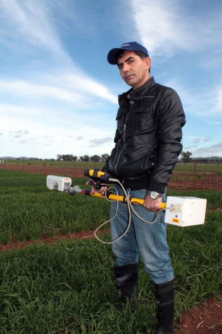 NSW Department of Primary Industry research officer Dr Mehrshad Barary, Wagga Wagga, measures dry matter in dual purpose wheat. 

