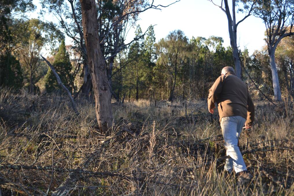 The trust is central to the native vegetation reforms that passed parliament in late 2016, with land managers set to access $240 million over five years, and $70 million per year ongoing, in exchange for conserving and managing important biodiversity on their land. 
