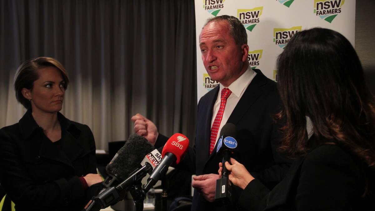 Missiles, cotton undies, and Icelandic citizenship: All in a Barnaby speech