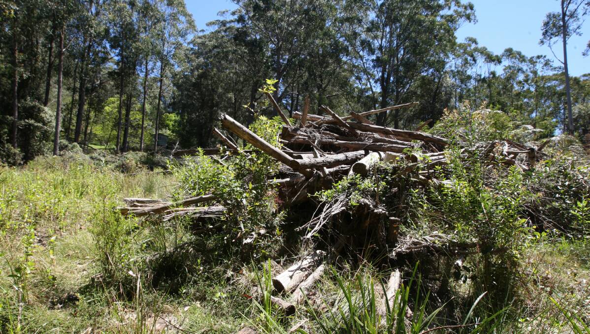 NSW Famrers said it has received no news on the proposed native vegetation trials from the state government since December. 