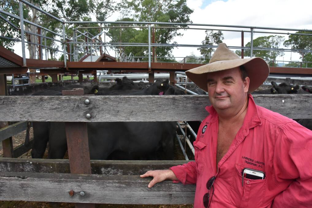 Scott Lawrence of Lawrence Livestock Transport bought a run of kill cattle and restockers for a Gresford client.

