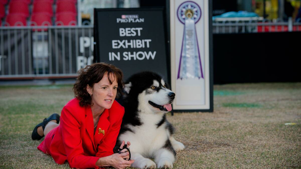 Hayley French-Davis, Adelaide, with six-year-old Sydney Royal Dog Show Supreme Champion Hamalek Rumble in the Jungle – or Lennox for short.