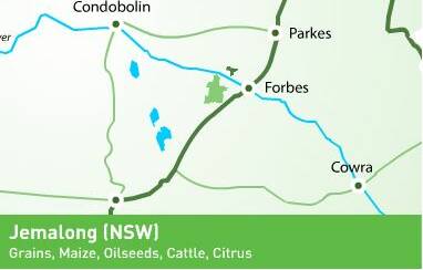 Jemalong Station, 35 kilometres west of Forbes, is comprised of 13,387 hectares with 2384ha developed for irrigation. It includes a 8885ML Jemalong Irrigation Licence (JIL) and 3107ML of groundwater. Pic via twynam.com/ 