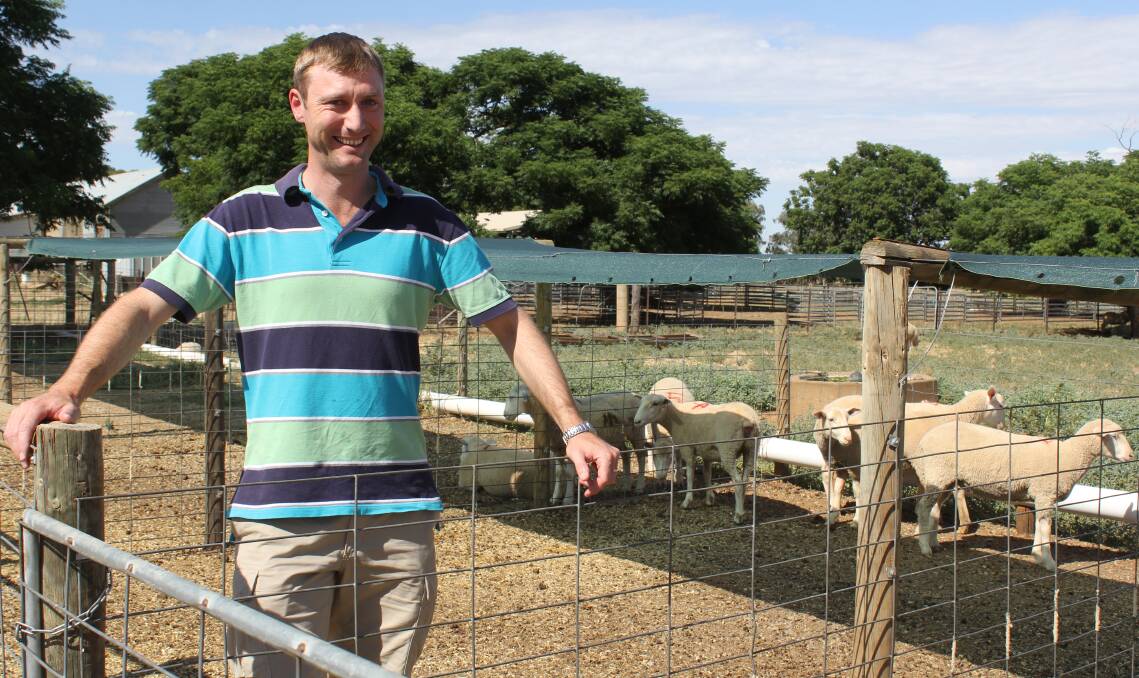 GRAZING BENEFITS: Shawn McGrath of Charles Sturt University, Wagga is pictured with some lambs at the Univesity's animal nutrition pens. Picture: Nikki Reynolds