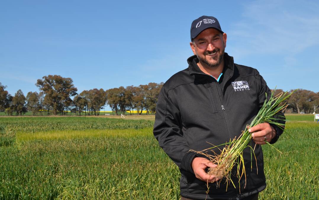 POPULAR SITE: Aaron Giason of Baker Seeds says the crop trials continue to draw interest at Henty. Picture: Nikki Reynolds 