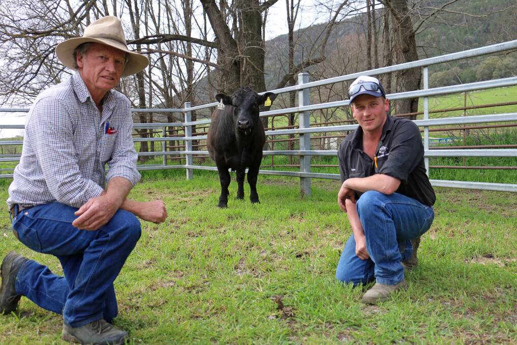 MEET THE MARKET: Mark Boileau, Bannister Station manager, Crookwell, with Sam Lucas, Reiland Angus, and the $31,000 top-priced bull, Reiland Q-Stratisphere Q16. Photo: Kim Woods
--