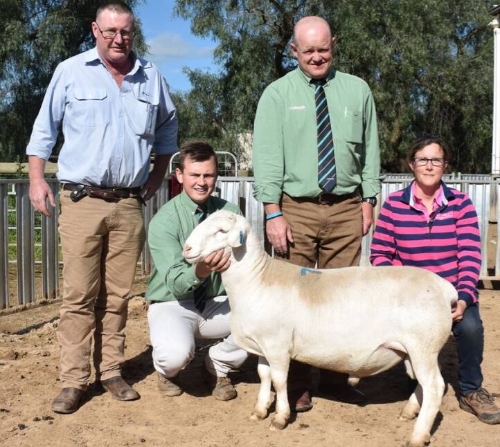 Sale-topper: Stuart Green, AWN , Lachie Collins and John Settree, Landmark, with owner Andrea Van Niekerk and the top-priced White Dorper ram.