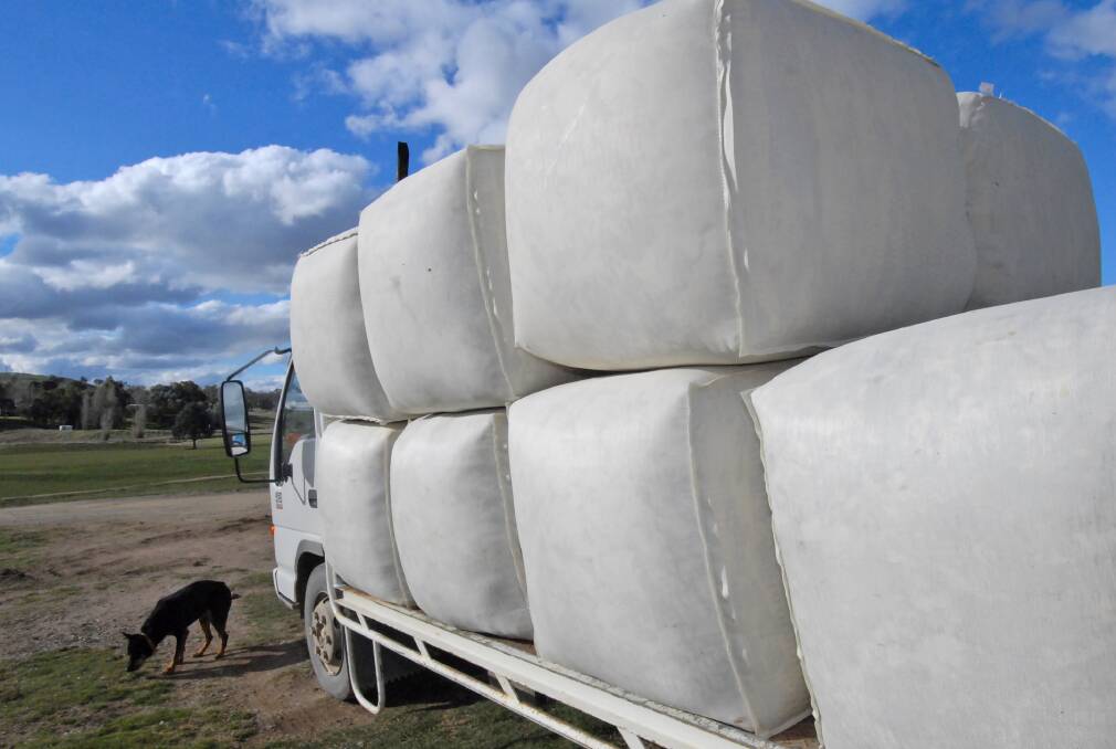 Market struggles to absorb large wool offering