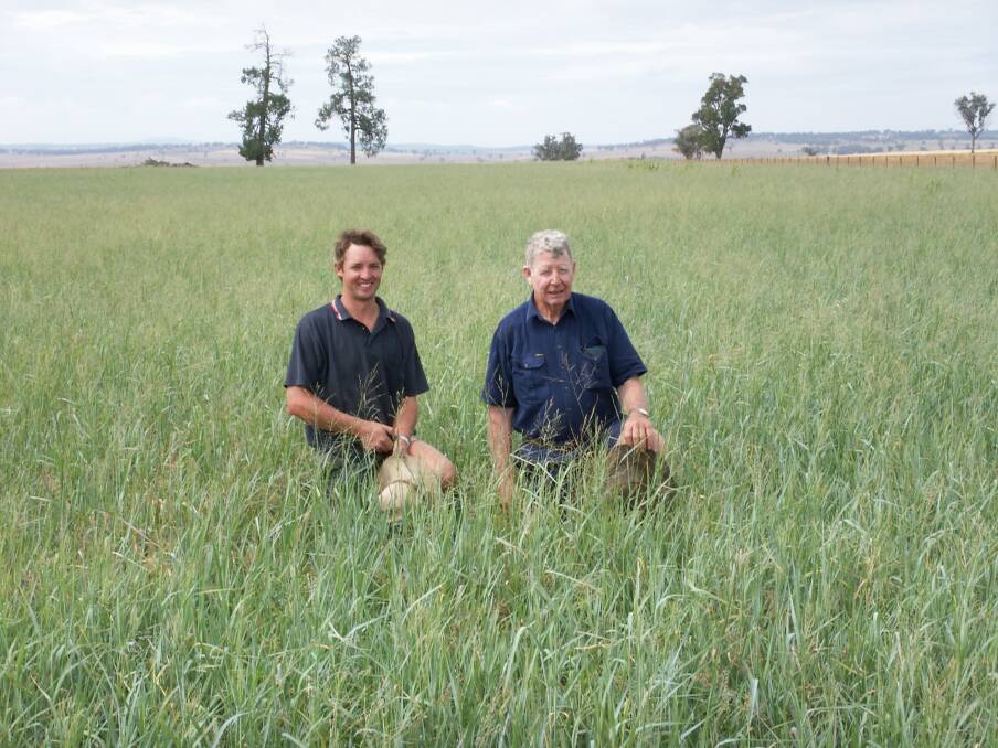 This 2006 photograph shows pioneer of many agricultural innovations, John Atkin (right) “Clarefield” Binnaway, with manager Jim Larkin, checking one of their many tropical grass paddocks.