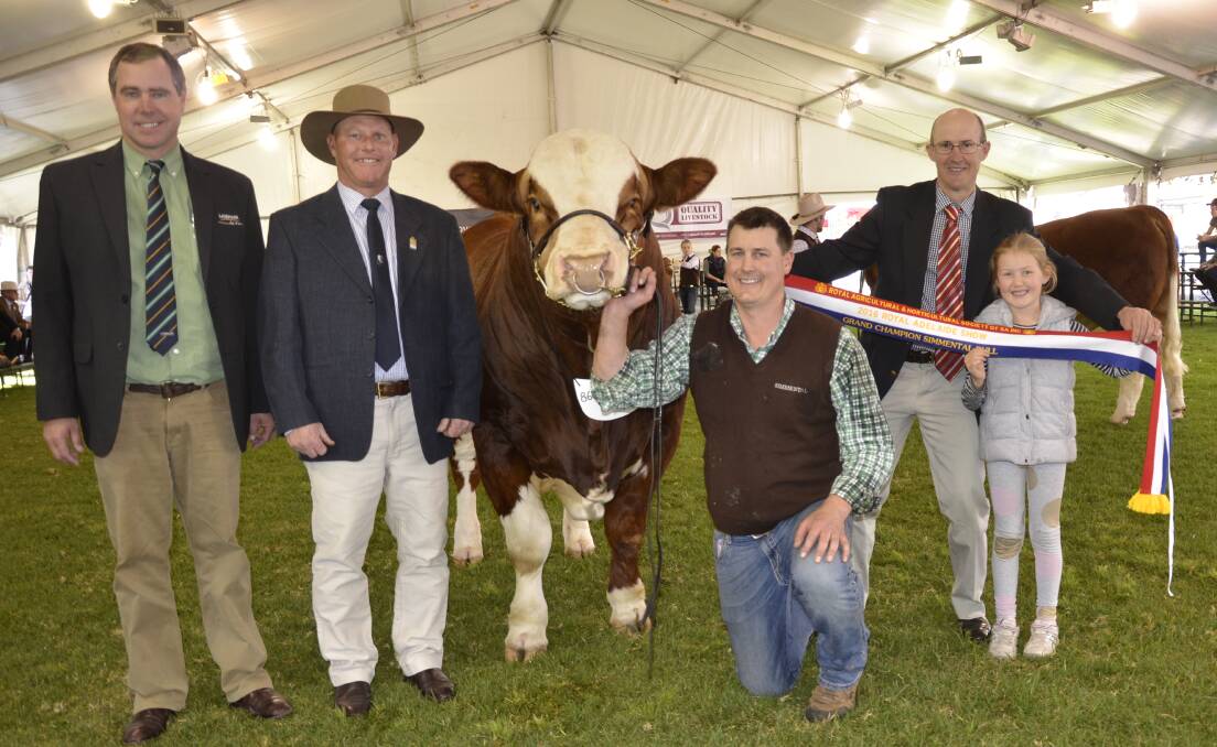 SIMPLY THE BEST: Landmark stud stock's Richard Miller and Simmental judge Peter Cowcher, Williams, WA, with the grand champion bull and supreme exhibit Woonallee Lady Killer L15, being held by Tom Baker, Furner. Sashing the bull is Jamie Withers, Nalpa stud, Strathalbyn, and niece Sophie Proudman, Adelaide.