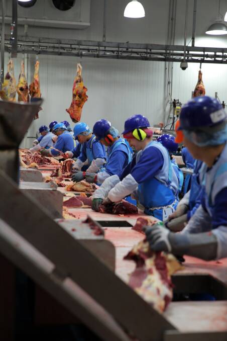 Live cattle trade costs jobs in Australia's processing industry, meatworkers say.