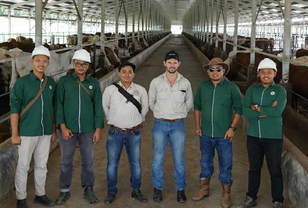 ON THE JOB: Halleen's Patrick Coole with the company's head supply chain officer Indonesia, Yudhis Sutrisna, and clients in a feedlot in Indonesia late last year. 