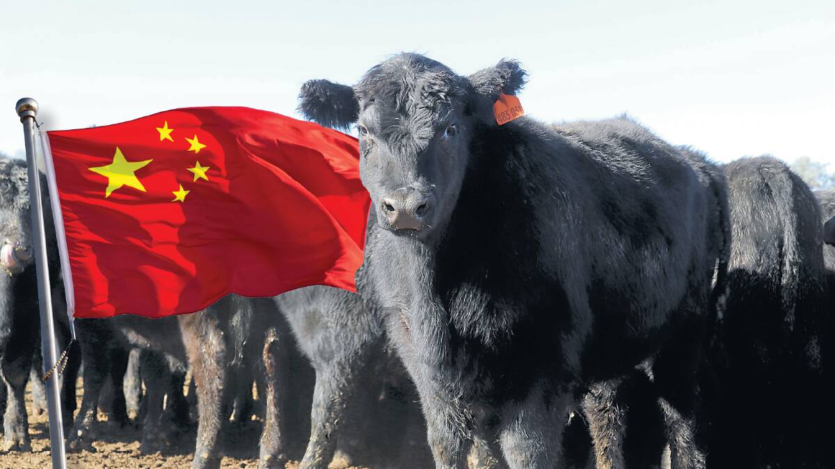 China has frequented the headlines in the beef business more than any other market in recent years.