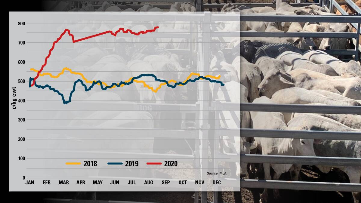 HEADED UPWARDS: The Eastern Young Cattle Indicator's phenomenal 2020 journey looks to finish the year nipping at the heels of the 800c milestone.