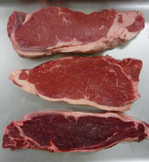 Different shades of red meat cuts: It is clear which is more appealing to consumers.