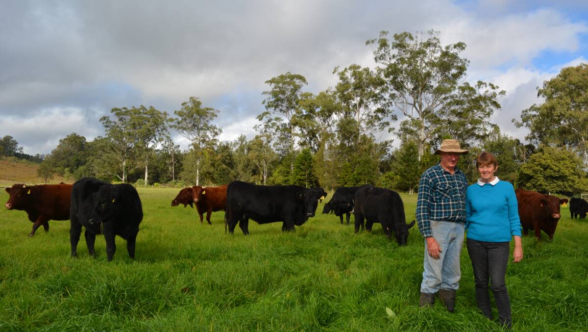 Mark and Carol Gillett, “Ghinni Ghi Angus”, west of Kyogle with Angus and Devon breeders.