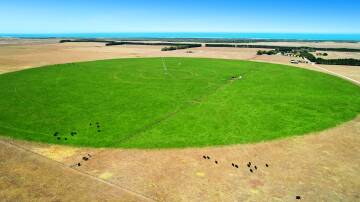 The big irrigation pivot is currently used to boost a cattle breeding and fattening operation. Pictures from TDC Livestock and Property and O'Connor and Graney.