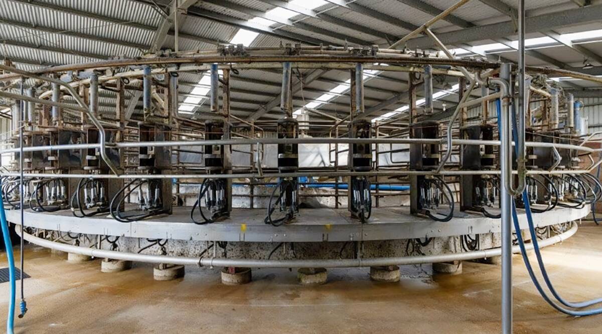 There are eight big rotary dairies on offer in the current sale but the new owners might choose to take the vast property back to its roots as a pure-play grazing operation.