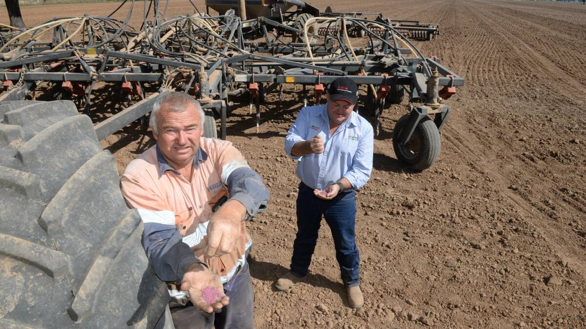 Malcolm Yerbury, "Foxlodge", Quandialla and Ag n Vet's Bribaree manager/agronomist Mick Marchant are now both on mouse watch. 