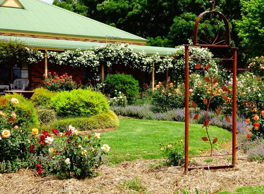    Judy and Chris Bayliss’ garden:  Mount Tamar will open for Bathurst Spring Spectacular w/e October 29/30 (photo: Chris Bayliss).