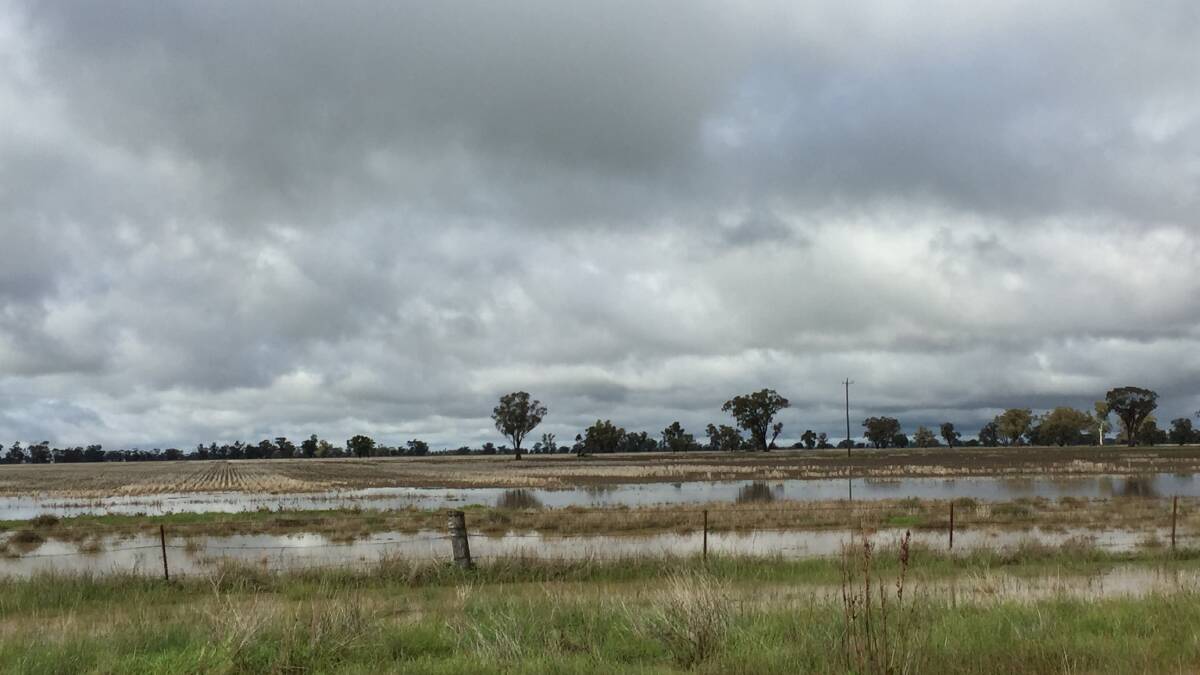 Low-lying areas at Armatree are inundated, meaning late-sown crops could be in trouble. Photo JESSE DAVIES