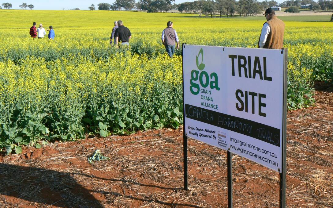 Five years of trial have shown responses to nitrogen have been big, there was little or no response has occurred from sulphur.