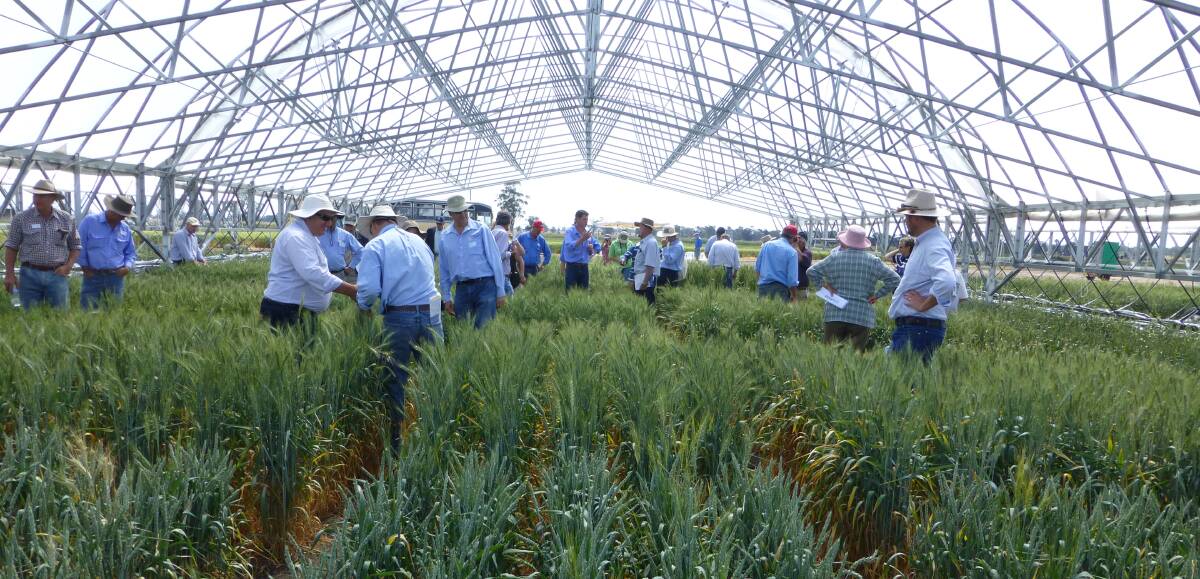 A view of some of the extensive research facilities and study plots that will be seen at the Sydney University Narrabri field day to be held next Wednesday. All welcome but bookings are important.