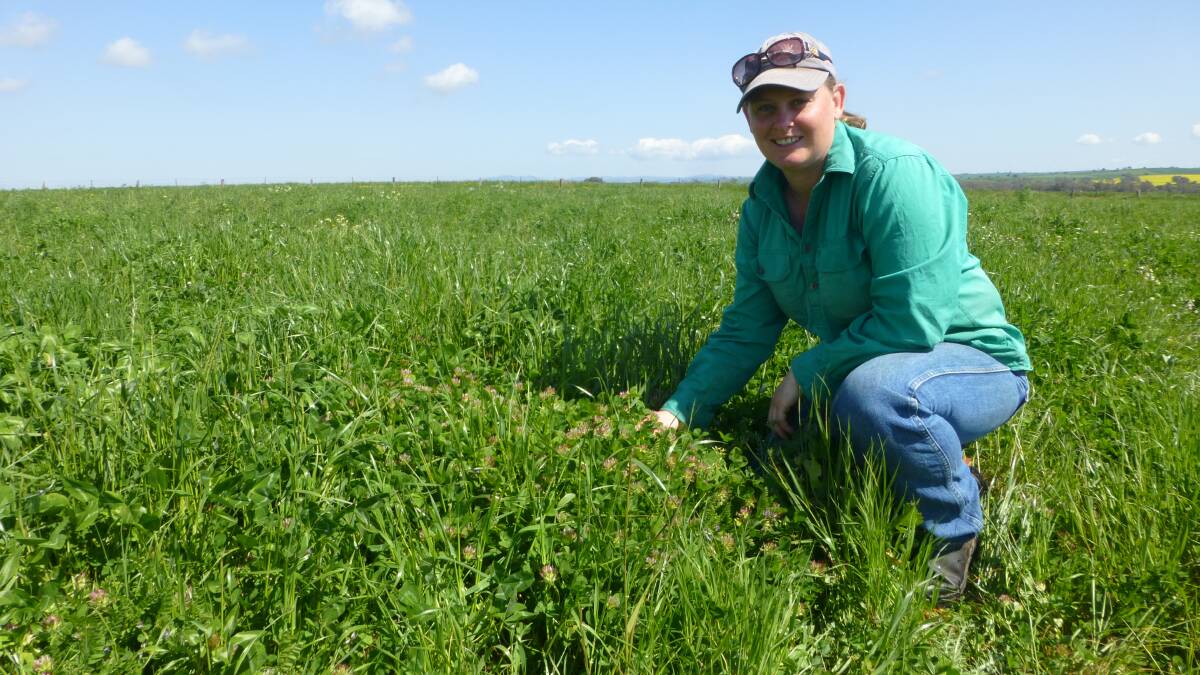 Julie Brien, “Ardnai”, Greenethorpe, south west NSW, checks one of her pastures combining newer legume species such as serradella, gland and bladder clover. These species if correctly managed add to productivity and profitability.