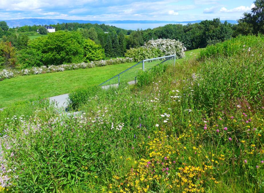 The herbal meadow overlooking lawns and arboretum at Ringve Botanical Gardens, Trondheim, Norway. The Old Perennial Garden contains borders of traditional herbaceous perennials collected from central Norway.