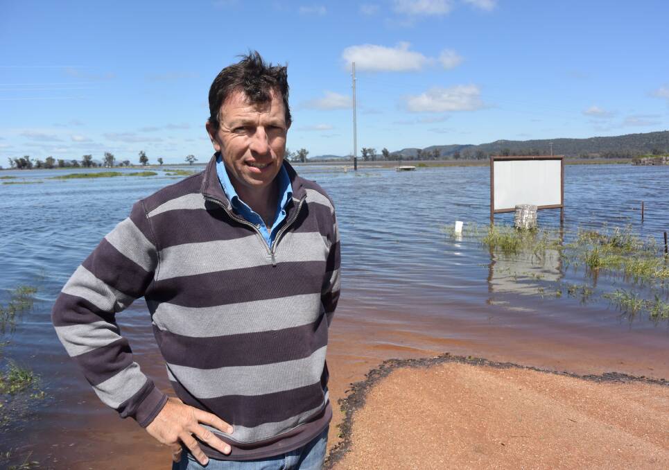 Agronomist Matt Shephard looks across the flooded Forbes - Condobolin road to a paddock that last year yielded a cotton crop.