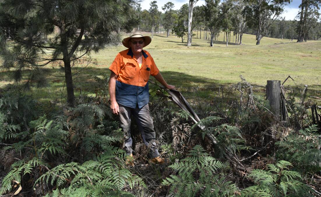 Pasture or bracken and black wattle? That's the choice Mark Hetherington is facing.