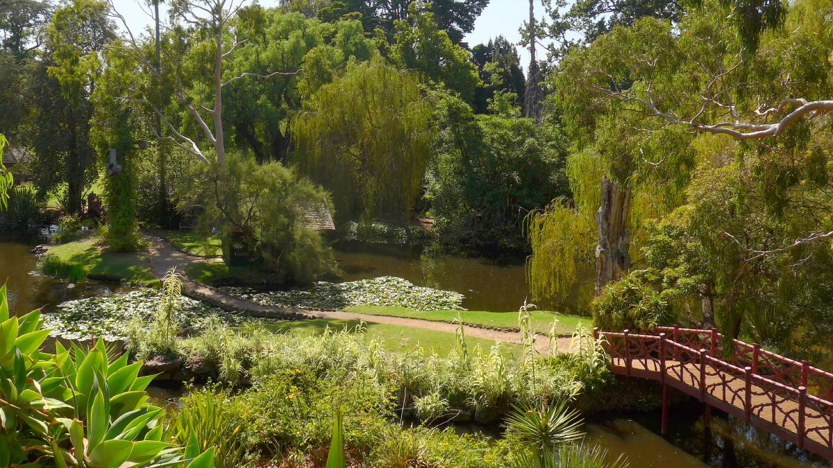 A small corner of the large lake in the garden of Rippon Lea in Melbourne. Since the land was purchased in 1863, the garden has delighted the people of Australia and the original underground irrigation system remains in use.
