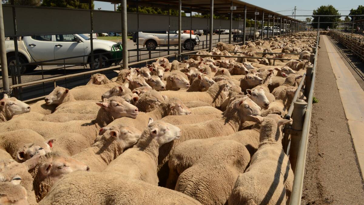 Mutton on the nose in Aussie households