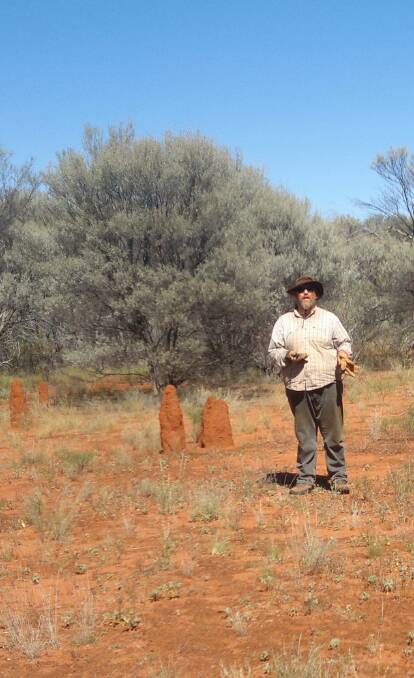 Dr James Cleverly in Australia's semi-arid mulga country, which can be so productive in extremely wet climatic phases that it alters the global carbon balance.