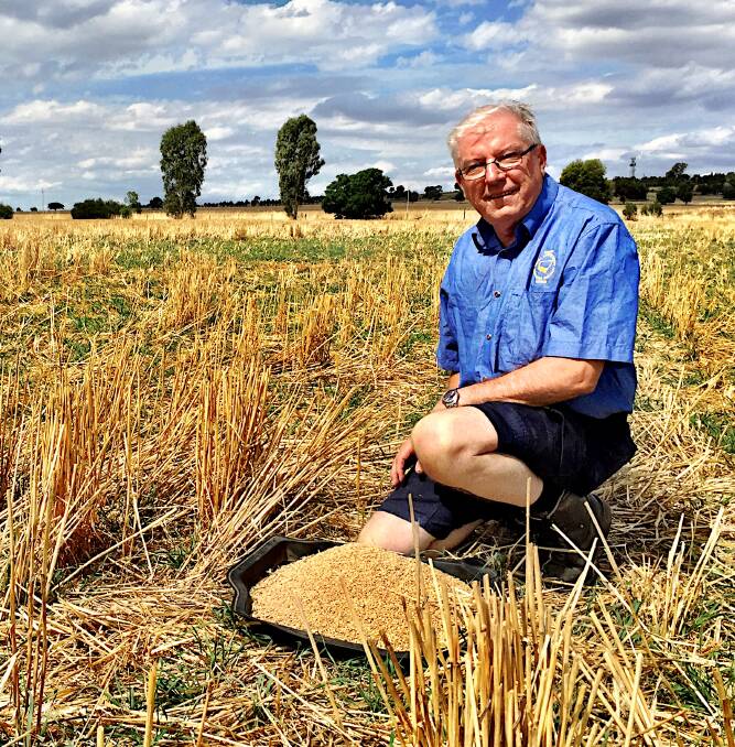 Southern Districts Jim Higman, Junee is responsible for sourcing and organising the grain and stock fodder. Photo: Pennie Scott