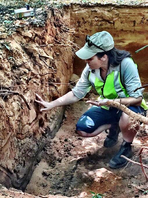 Nicole Masters from Integrity Soils inspecting soil under almond trees and analysing the results of using compost as fertiliser. The trials are being conducted by Australian Soil Management and include cropping, orchards, vineyards and pastures.