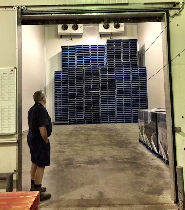 Tony Madden standing in the doorway of one of the two cool-rooms at his Harden truck depot. Each has capacity to maintain temperature of 4C for 200 loaded pallets.