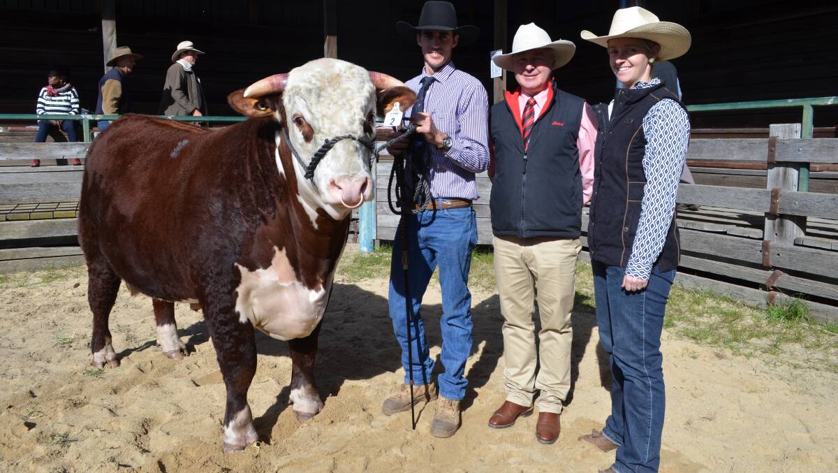 Andrew Marer, Elders flanked by Grant and Kylie Kniepp, Battalion Hereford, Dundee with their second consecutive sale topper.