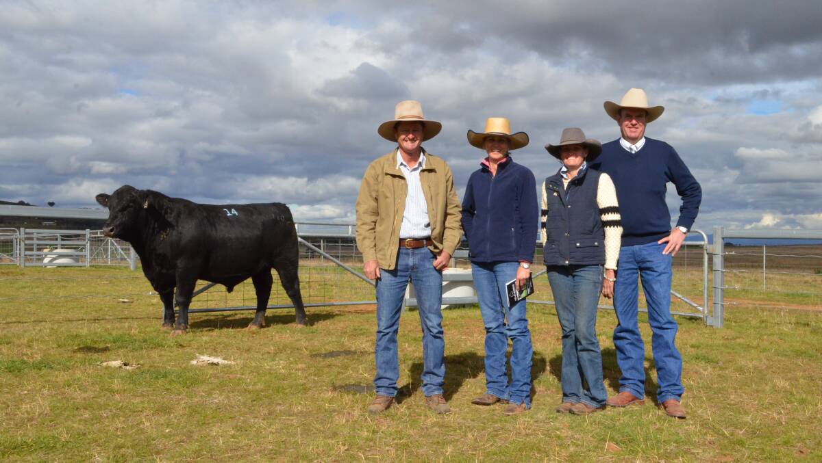 The $15,000 bull LOT 14; Chris Paterson, Heart Angus, Tamworth with top price buyers, Jane Randall and Sarah Hamilton, Barraba and auctioneer, Paul Dooley, Tamworth 