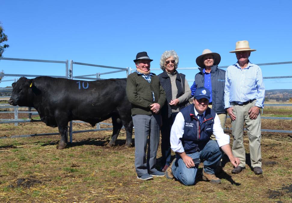Buyers, Max and Elain Fomiatti, Ashford; Swanbrook Angus owners, Glynis and Brian Turner, Inverell and Colin Say and Company agent Nathan Purvis, Glen Innes.