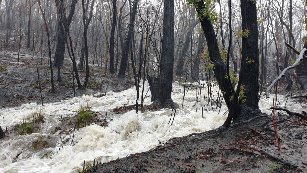 A stream rips through the ground burnt by the Gospers Mountain fire at Bilpin in NSW's Blue Mountains following rain in excess of 400mm. Photo: Kim Chappell.