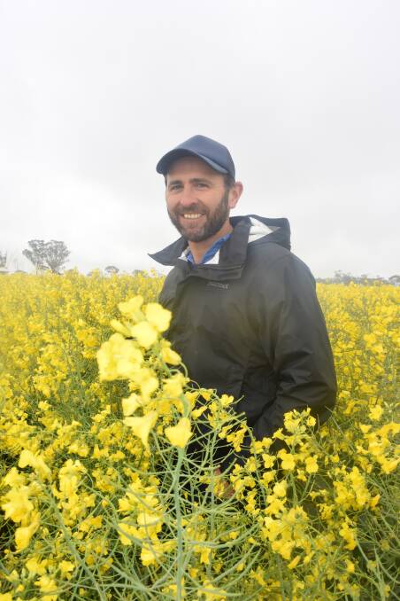 Rohan Brill, NSW DPI, says grading canola seed can help improve germination rates, with larger seed achieving better results.